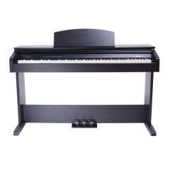Medeli DP250 Dijital Piyano (Venge)