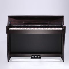 Medeli DP70U Dijital Piyano (Venge)