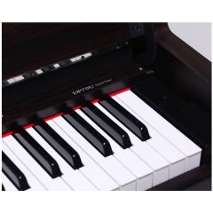 Medeli DP70U Dijital Piyano (Venge)