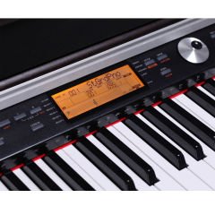 Medeli DP388 Dijital Piyano (Venge)