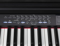 Medeli DP720 Dijital Piyano (Venge)