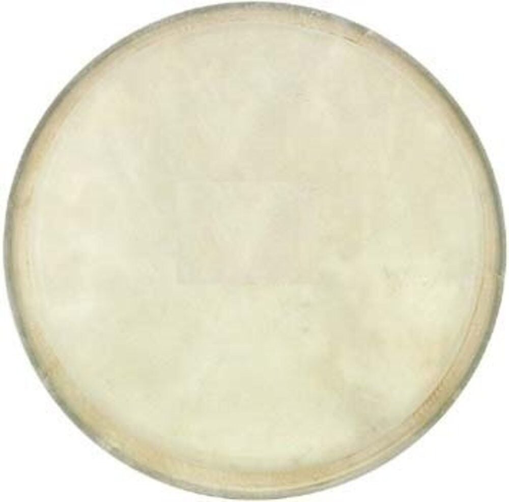 Cox DER-DJ12 12'' Djembe Derisi