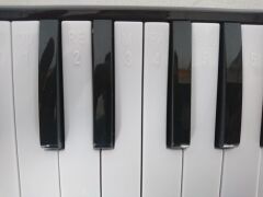 MELODİKA 32 TUŞLU MAVİ RENK 12 Lİ PAKET EVA ÇANTA