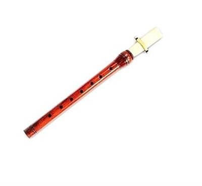 Profosyonel Sol Karar Erik Mey