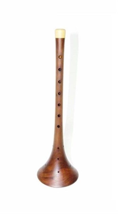 Profosyonel Erik Ağacı Cura Zurna (Re)