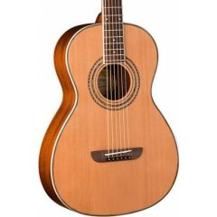 Washburn WP11SNS Harvest P11S Akustik Gitar