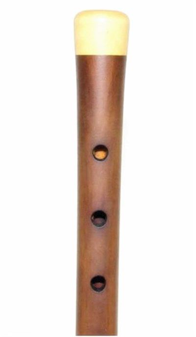 Profosyonel Erik Ağacı Zurna (Sol)