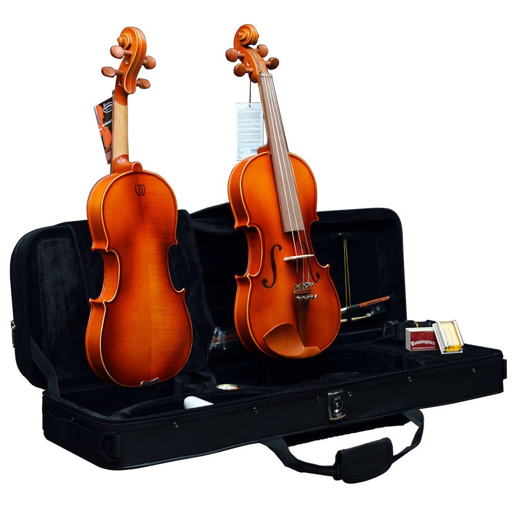 DOMİNGUEZ GÜL KEMAN (DVR44NM)