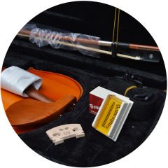 DOMİNGUEZ GÜL KEMAN (DVR44NM)