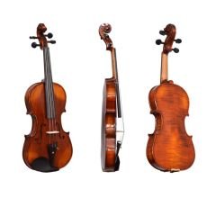 Dominguez Profesyonel Keman El Yapımı 1/2 DVPG12-P1