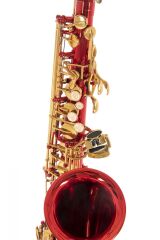 Roy Benson AS-202R Alto Saksafon