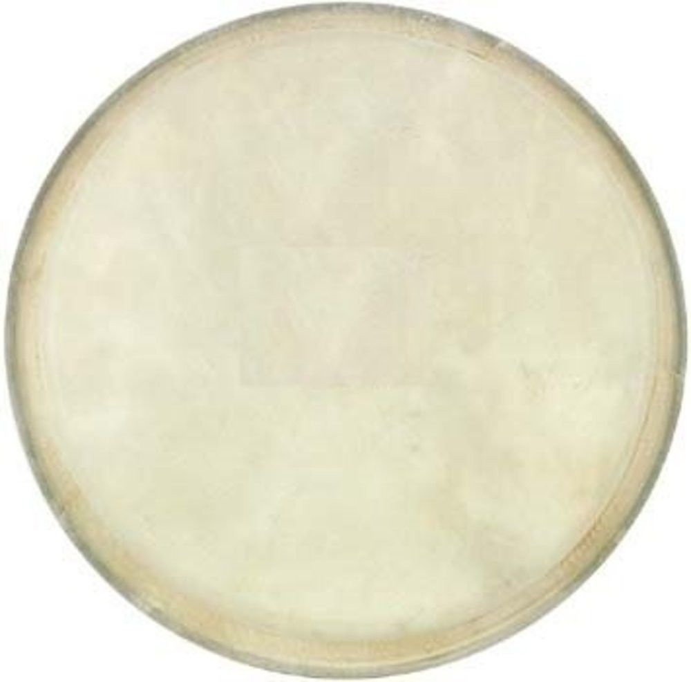 Cox DER-DJ12 12'' Djembe Derisi