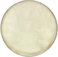 Cox DER-DJ12 12'' Djembe Derisi