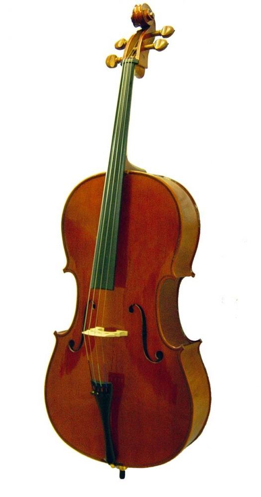 Çello Gül DCR14LCO