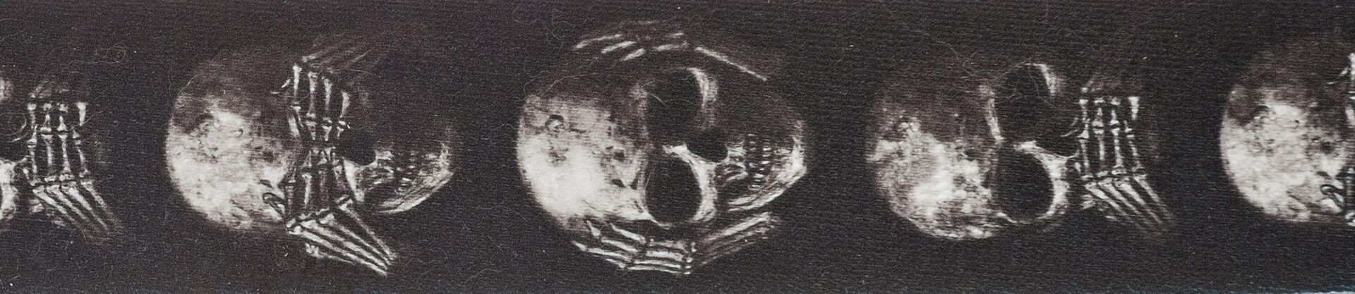 PLANETWAVES 50AL01 GİTAR ASKISI, 50MM, ALCHEMY STR-MUTED SKULL