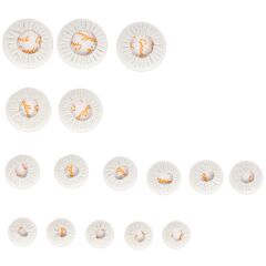 Fox FCL7000-GPS Sol Klarnet Pad Set