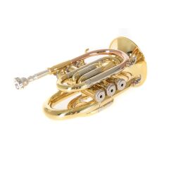 Roy Benson PT-302 Bb Pocket Trompet