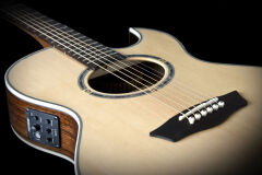 Washburn EA20S Nuno Bettencourt Signature Elektro Akustik Gitar