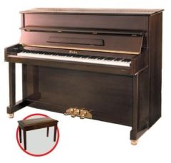 Piyano Duke DUP110WN