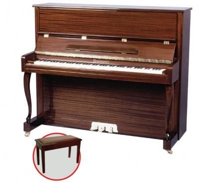 Piyano Dominguez DP110CN