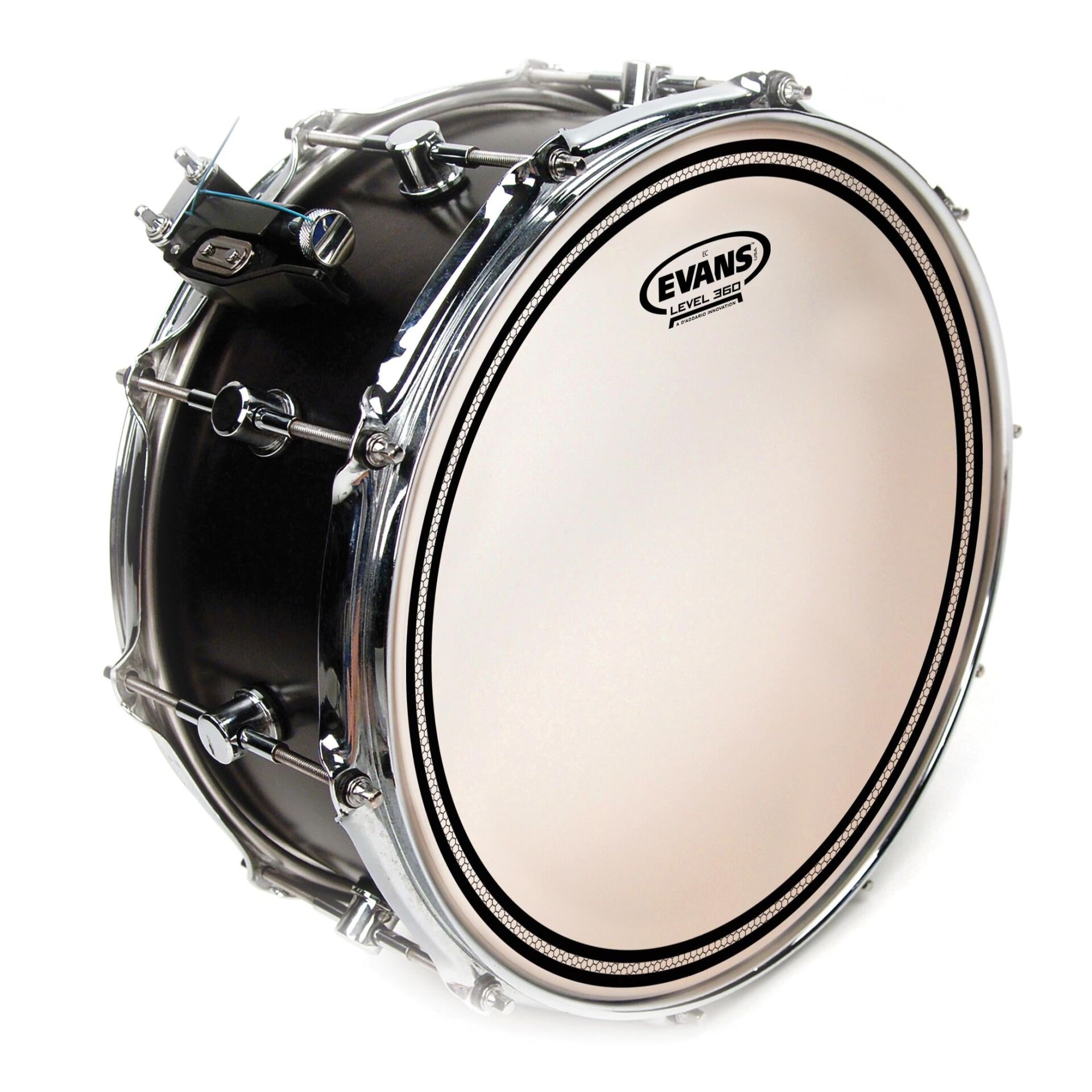 EVANS B14ECS 14'' DERİ TRAMPET KUMLU FROSTED RİNGLİ ÇİFT KAT