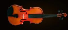 VALENCIA VA40040 VİYOLA KUTULU 16'' (40,64cm)
