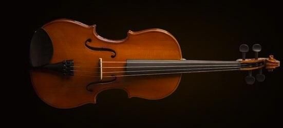 VALENCIA VA16038 VİYOLA KUTULU 15'' (38cm)