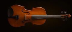 VALENCIA VA16038 VİYOLA KUTULU 15'' (38cm)
