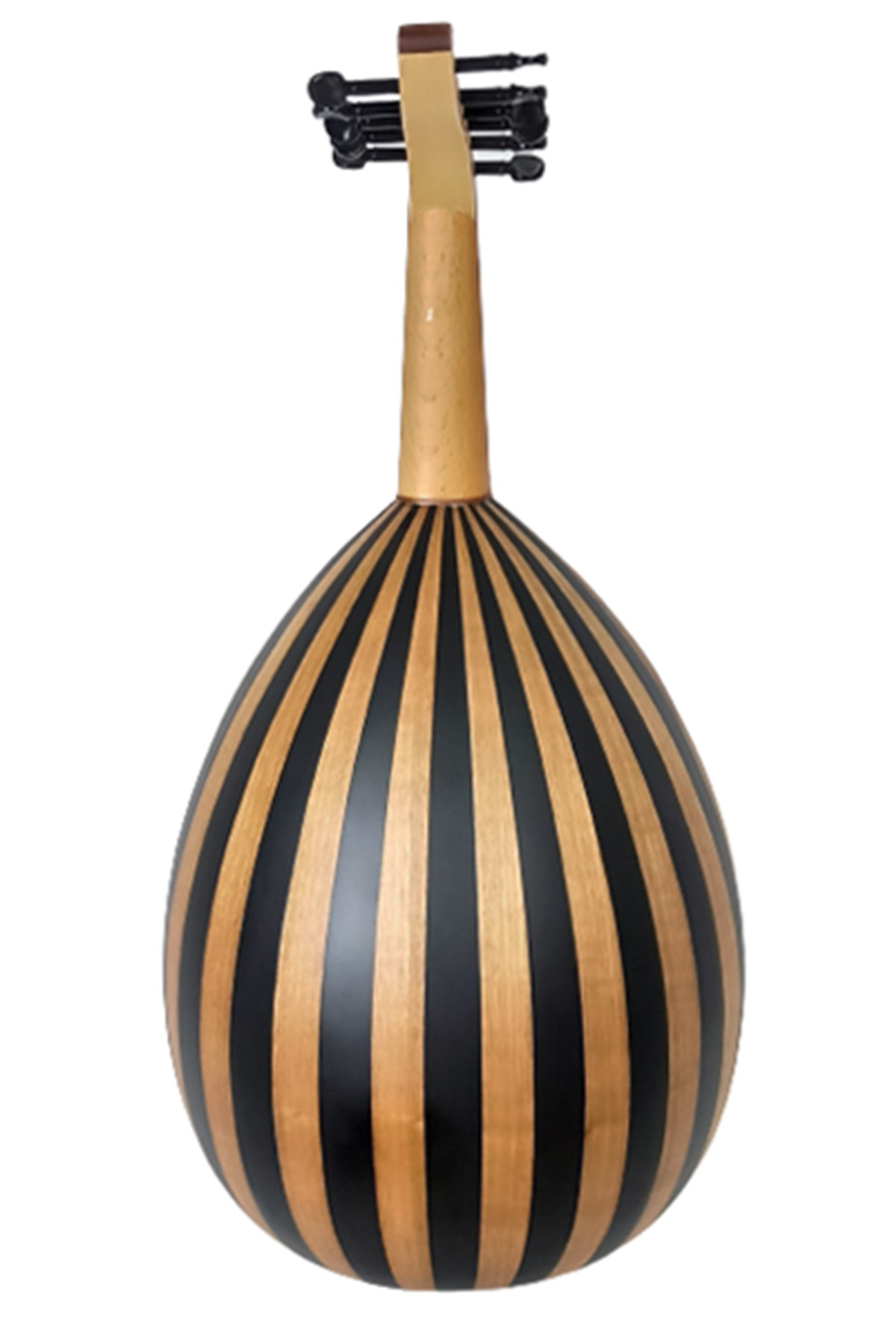 Ceviz Ve Vengi Ağacı Öğrenci Ud