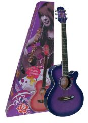VALENCIA GRA1KCPP AKUSTİK GİTAR GYPSY ROSE SET, MOR