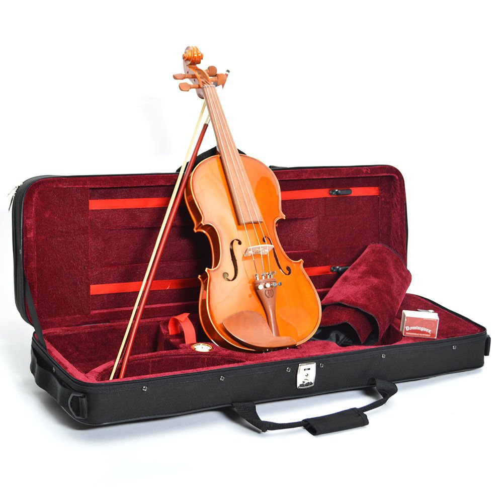 DOMİNGUEZ GÜL KEMAN 4/4  (DVR44Y)