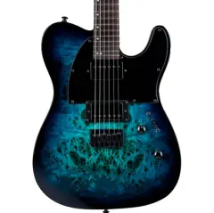ESP LTD TE-200DX Blue Burst Elektro Gitar