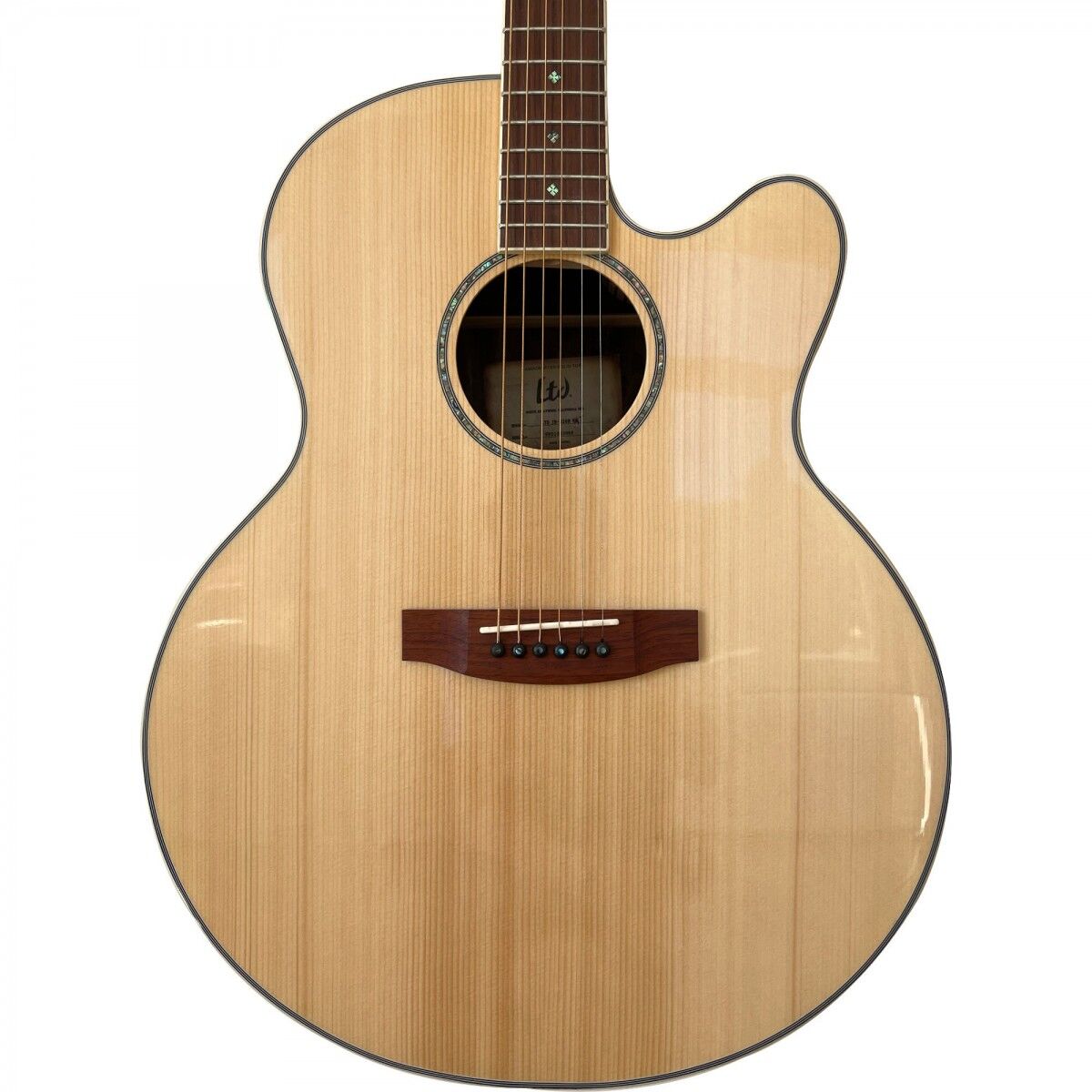 ESP LTD JB-320E Natural Elektro Akustik Gitar