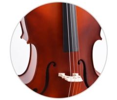 Çello (Viyolonsel) Gül DCR34NM