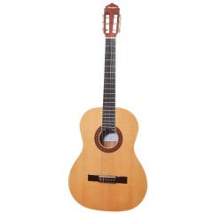 GİTAR ELEKTRO KLASİK RODRİGUEZ GÜL (RC644MNEQ)