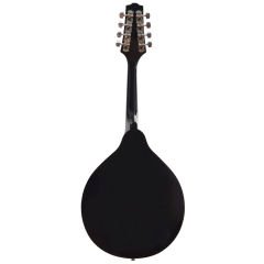 MANDOLİN PROFESYONEL EXTREME (XM60SB)