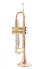 Roy Benson TR-202G  Bb Trompet