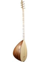 Piarro Uzun Sap Ceviz Ağacı Bağlama