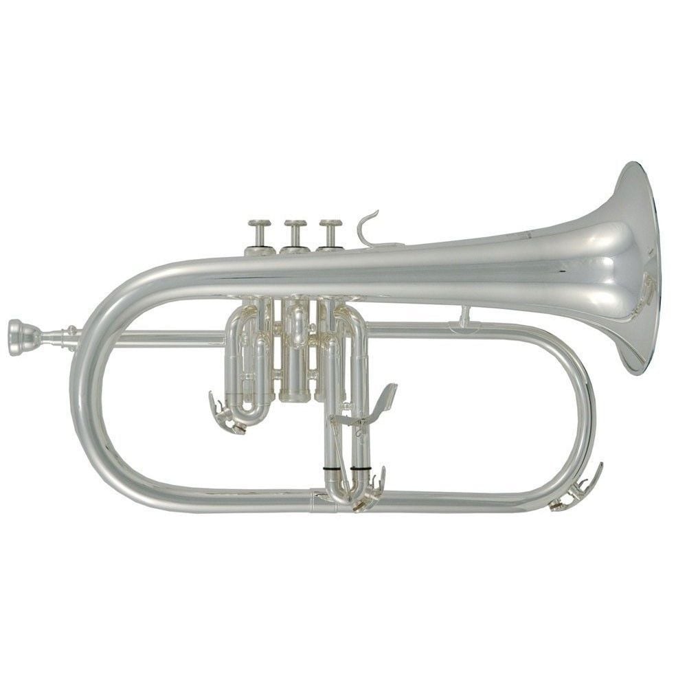 Roy Benson FH-302S Bb-Flugelhorn