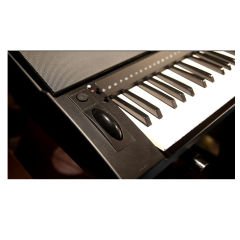 Medeli Dante TR V2 Türk Ritimli Profesyonel Org