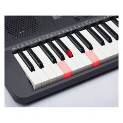 Medeli M221L ? Dolgu Tuşlu Işıklı 5 Oktav Org